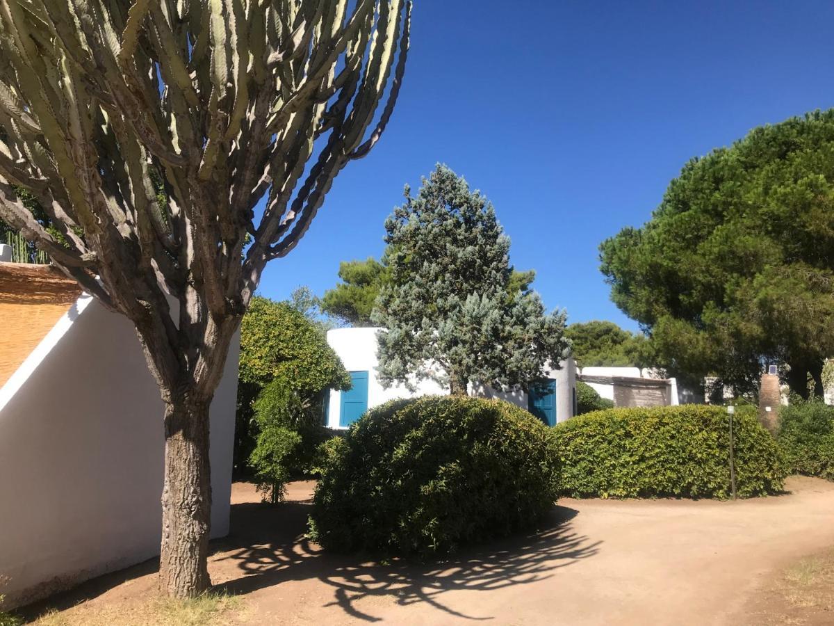 Residenza Gherly カーポ・ヴァチカーノ エクステリア 写真